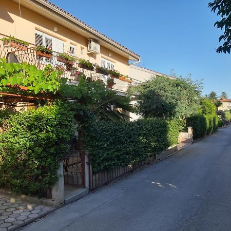 Apartman Oliver Novigrad Istria المظهر الخارجي الصورة