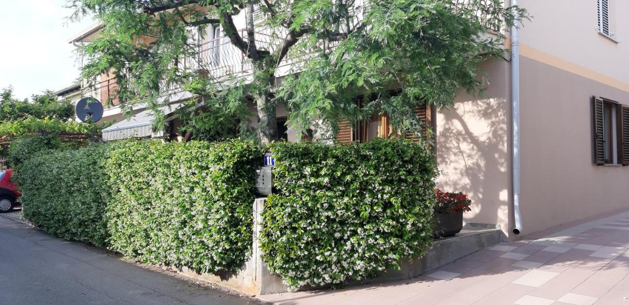 Apartman Oliver Novigrad Istria المظهر الخارجي الصورة